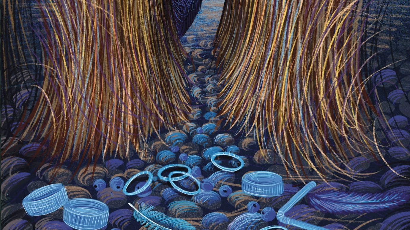 Exposition À la loupe : petites curiosités et collections d'Isabelle Simler