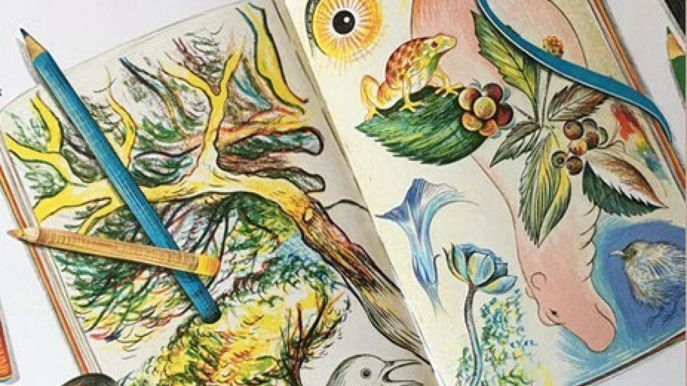 Exposition Sur les sentiers sensibles d’Isabelle Simler