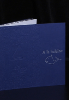 Agrandir l'image - fenêtre modale