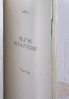 Apparition d'un grand poisson