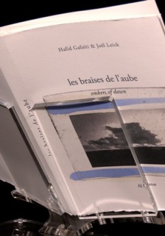 Agrandir l'image - fenêtre modale