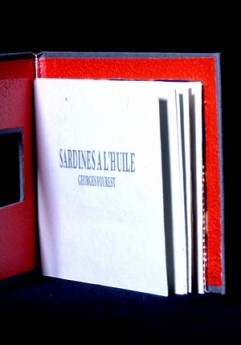 Agrandir l'image - fenêtre modale