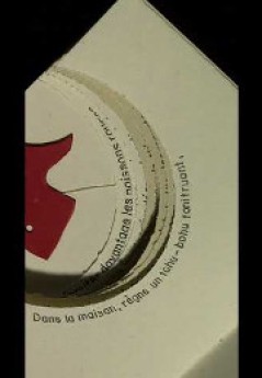 Agrandir l'image - fenêtre modale