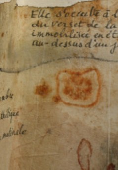 Agrandir l'image - fenêtre modale