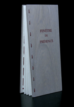 Agrandir l'image - fenêtre modale