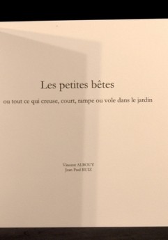 Agrandir l'image - fenêtre modale