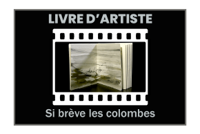 Agrandir l'image - fenêtre modale