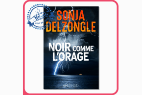 Agrandir l'image - fenêtre modale