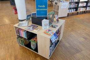 Meuble de présentation du fonds ukrainien