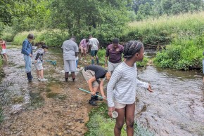 Atelier Les petites bêtes aquatiques