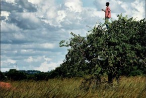 Exposition Le printemps des poètes