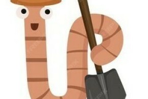 Les supers pouvoirs des sols