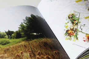 Agrandir l'image - fenêtre modale