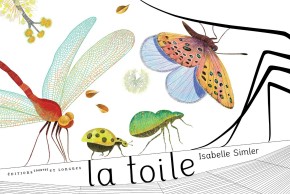 Création d'une galerie d'insectes avec Isabelle Simler
