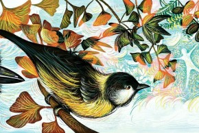 Atelier dessin de plumes et d'oiseaux avec Isabelle Simler