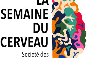 Cerveau et traumatismes