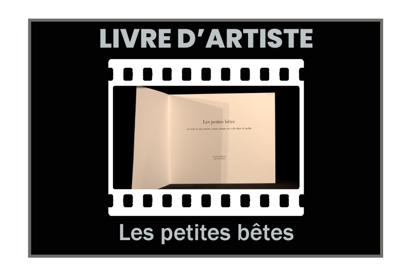 illustration Livre d'artiste : Les petites bêtes