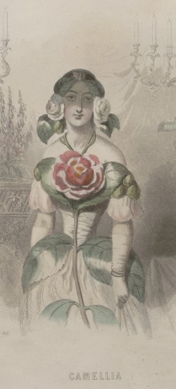 Grandville Les Fleurs