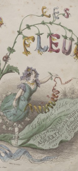 Grandville Les Fleurs