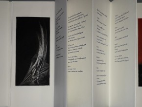 Agrandir l'image - fenêtre modale