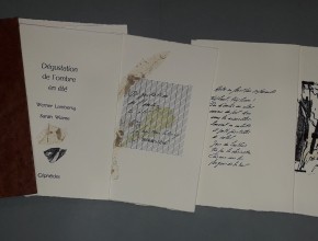 Agrandir l'image - fenêtre modale