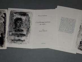 Agrandir l'image - fenêtre modale