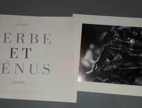Agrandir l'image - fenêtre modale