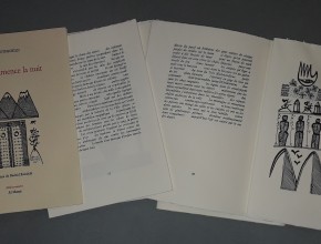 Agrandir l'image - fenêtre modale