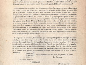 Agrandir l'image - fenêtre modale