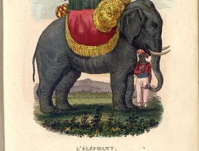 Agrandir l'image - fenêtre modale