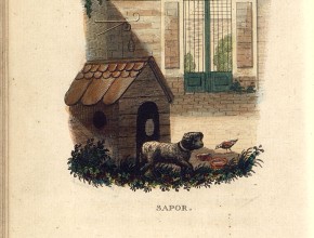 Agrandir l'image - fenêtre modale
