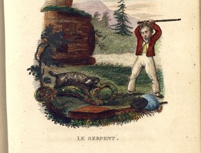 Agrandir l'image - fenêtre modale