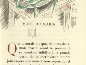 Agrandir l'image - fenêtre modale