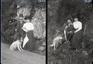 Nos collections ont du chien