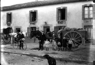 Nos collections ont du chien