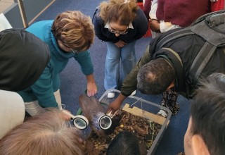 Pages et partage expo 1