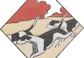 Nos collections ont du chien