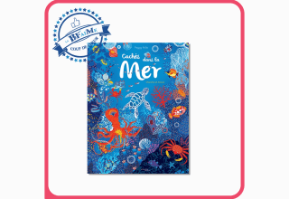 coup-de-coeur-cachés-dans-la-mer