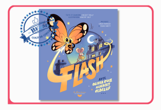 Flash : le petit papillon dont les minutes sont contées