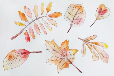 horaires automne vacances toussaint