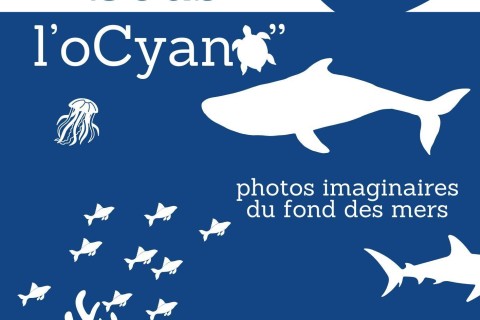 Atelier sous l'oCyano