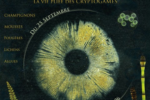 CryptORIgamie 3