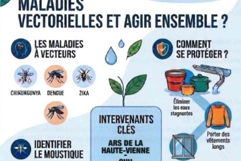 « Moustique Tigre et Santé Publique : comment se protéger des maladies vectorielles et agir ensemble»