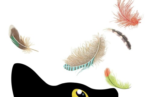 Exposition À tire d’ailes : plumage, ramage, image et langage.