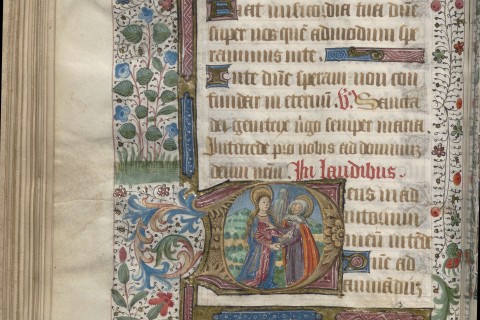 Visites guidées à la Bfm : Trésors