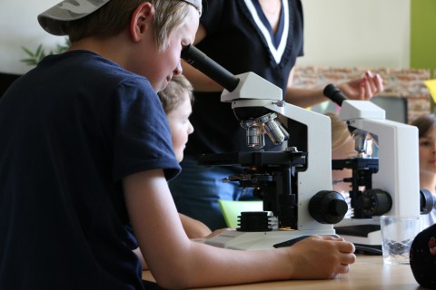 Atelier Invisible biodiversité