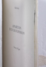 Agrandir l'image - fenêtre modale