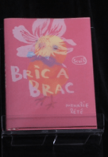 Agrandir l'image - fenêtre modale