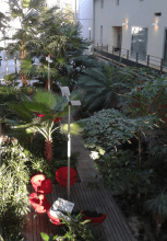 Jardin d'hiver vue de haut