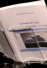 Agrandir l'image - fenêtre modale
